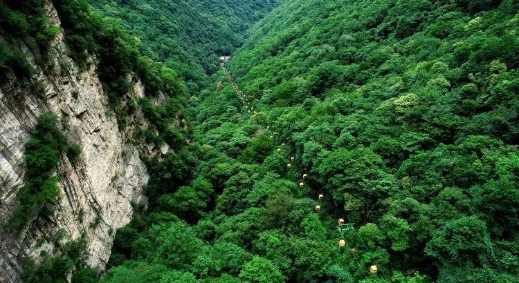这种油容易致癌,但很多家庭还在用它炒菜→
